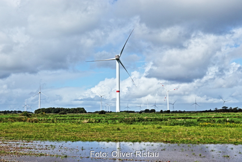 Süwag Vermarktet Windstrom Mit Regionalnachweisen - Solarserver · EEHD ...