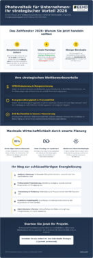 Photovoltaik Investition für Unternehmen 2026: Strategien für maximale Rentabilität